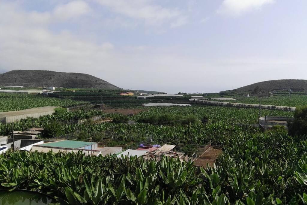 Bonito Y Amplio Piso En Los Llanos De Aridane Eksteriør bilde